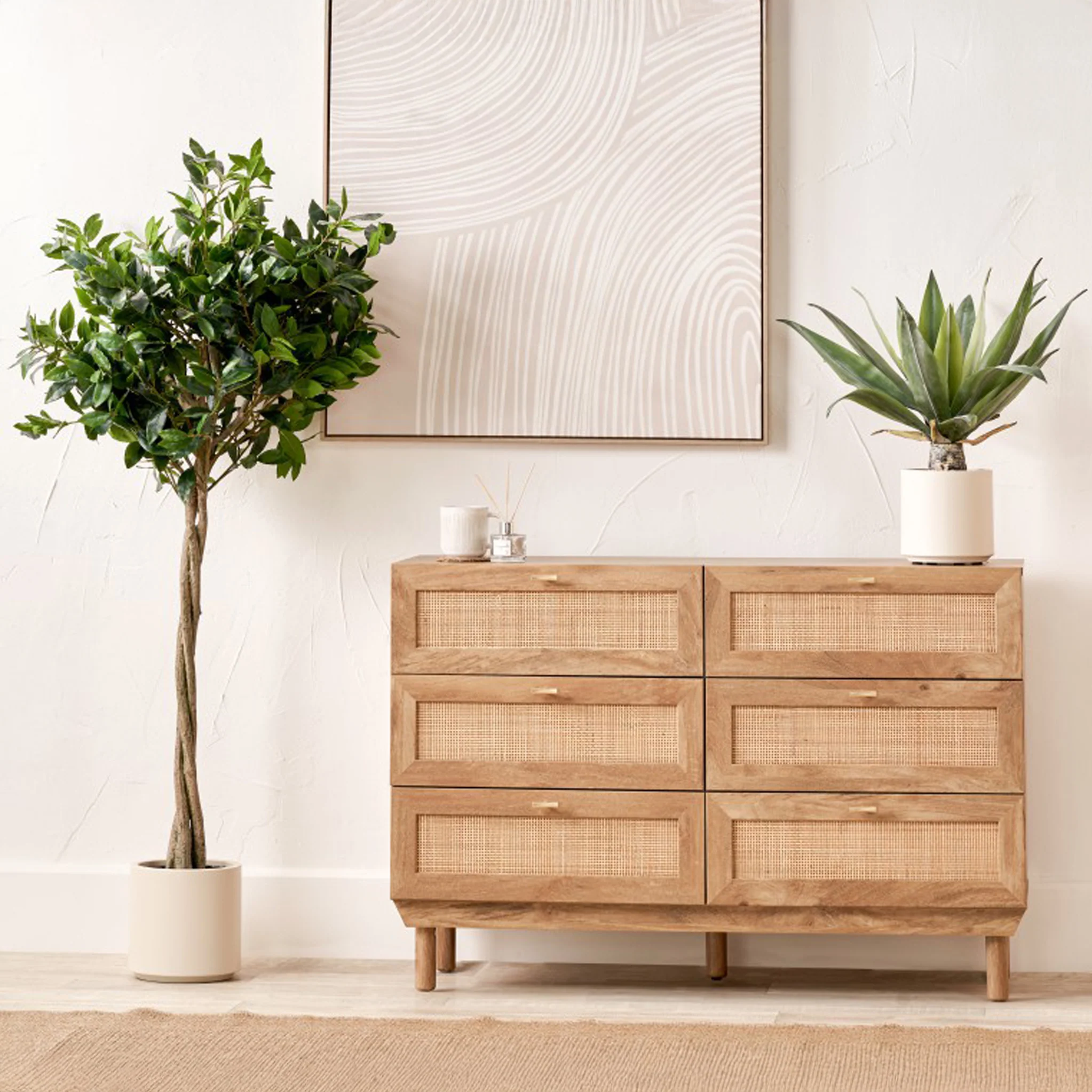 Bay Tree in Pot - Image 6