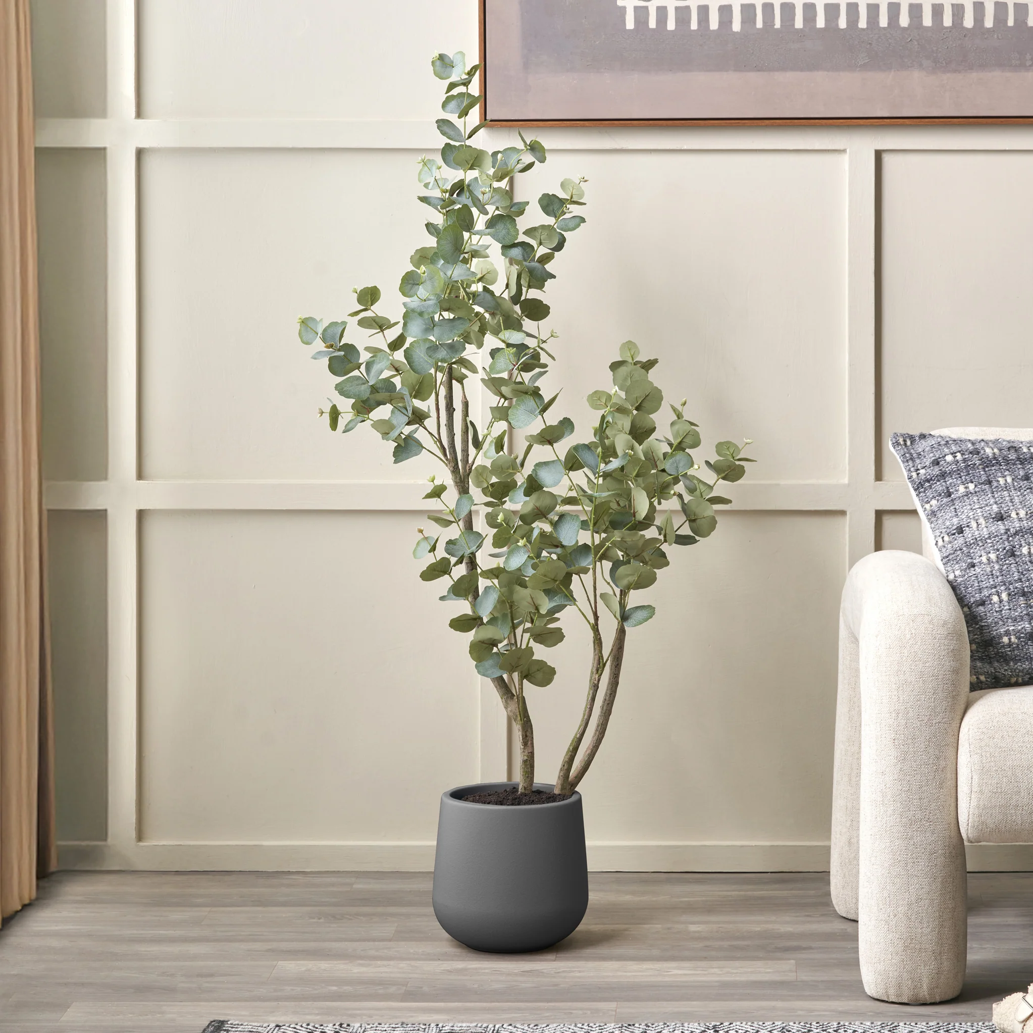 Eucalyptus Tree in Pot - Image 5