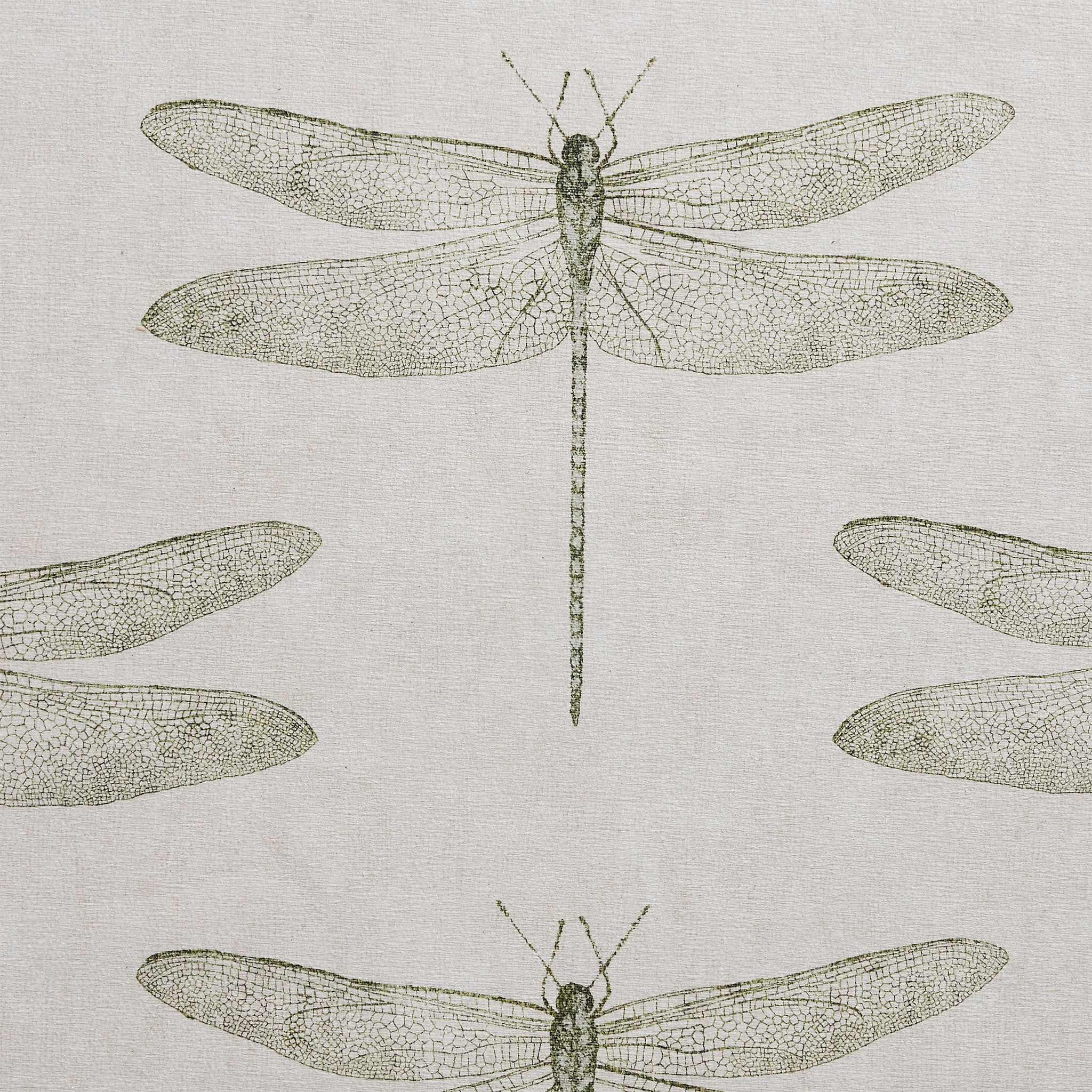 Harlequin Demoiselle Washable Rug - Image 15