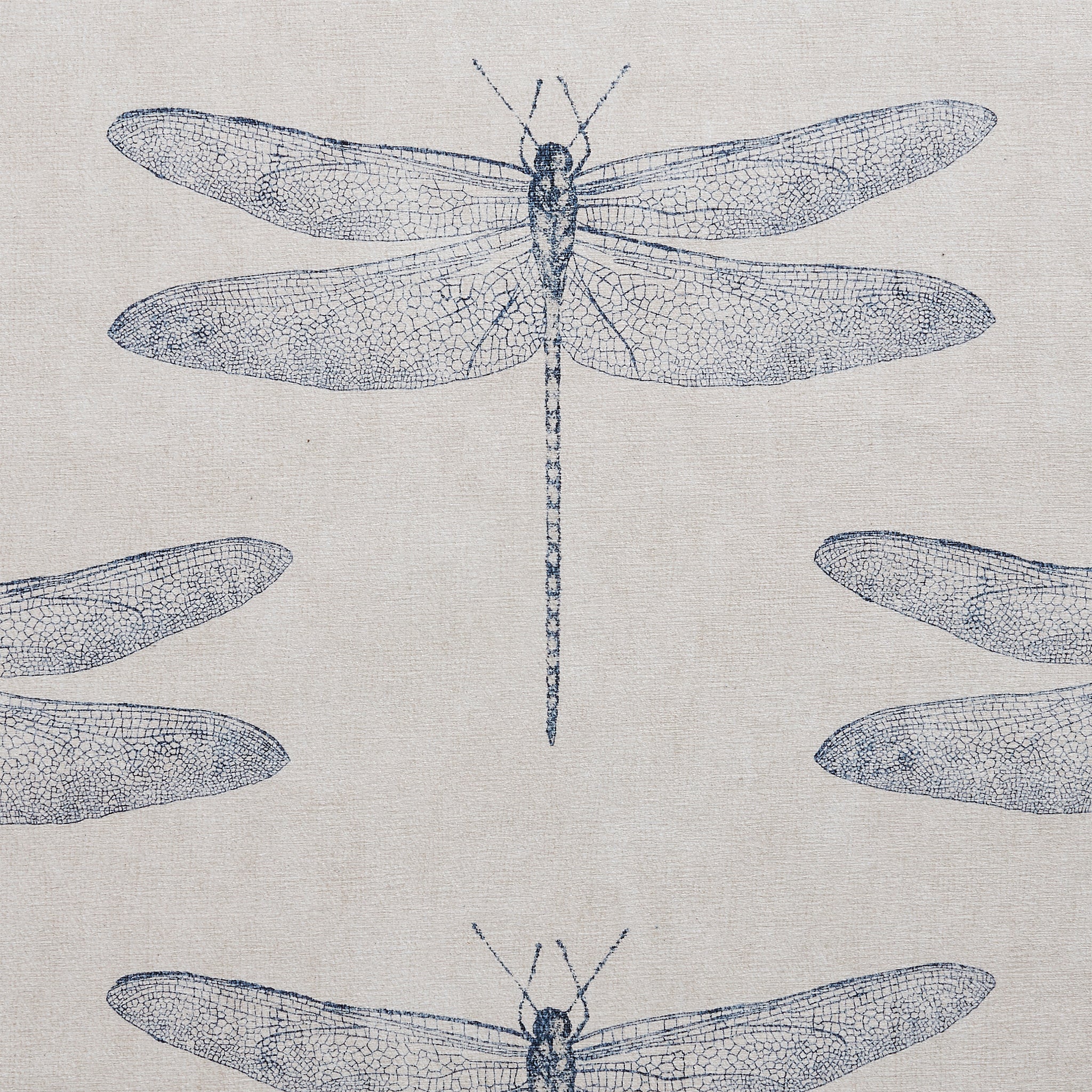 Harlequin Demoiselle Washable Rug - Image 24