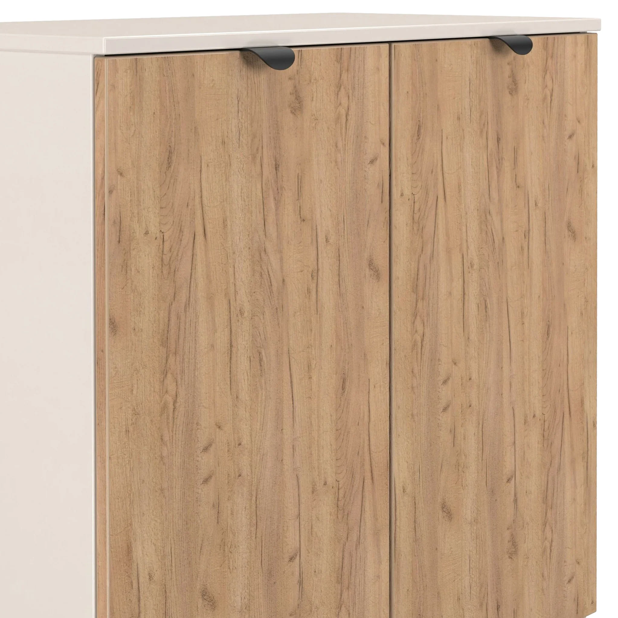 Huxley 2 Door Cabinet - Image 4