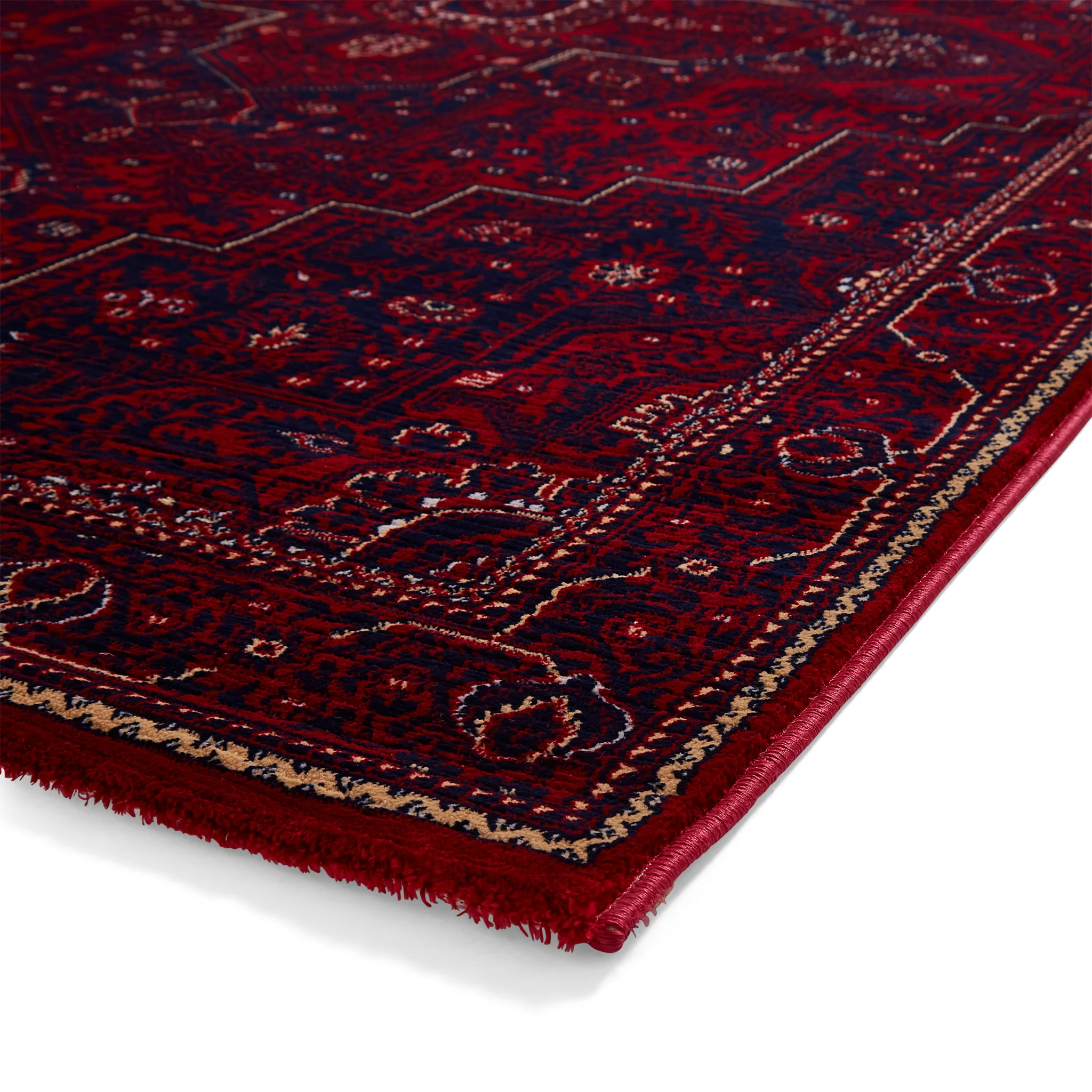 Lansing Traditional Patterned Rug - Image 4