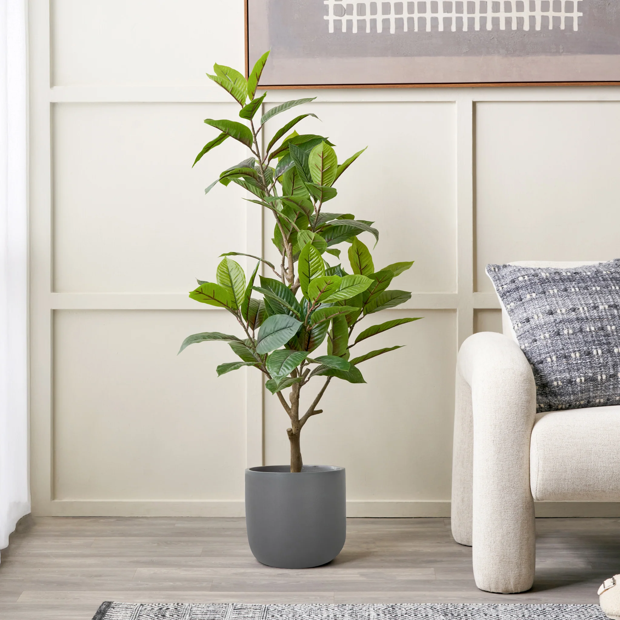Magnolia Tree in Pot - Image 2
