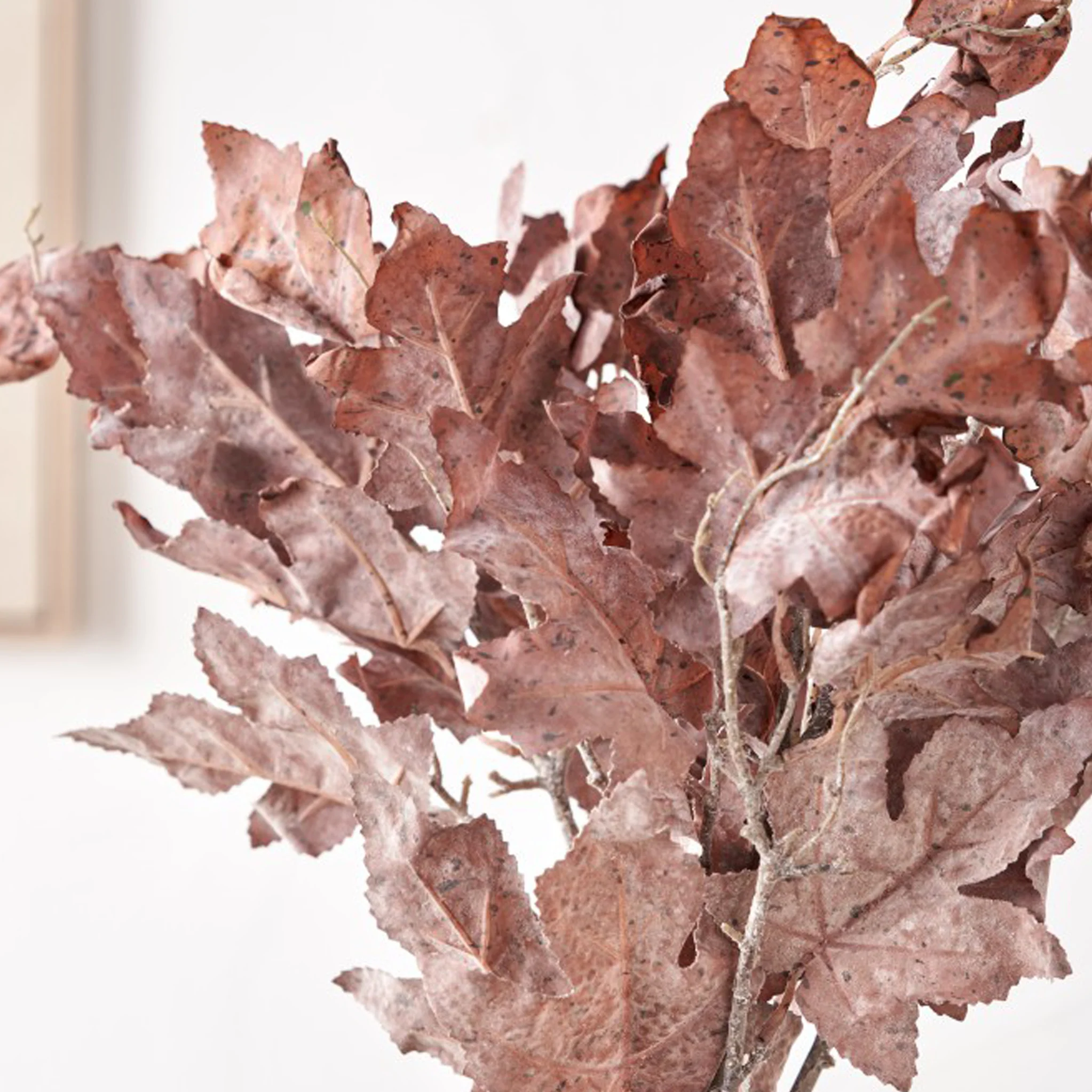 Mulberry Brown Dried Flower Bunch - Image 5