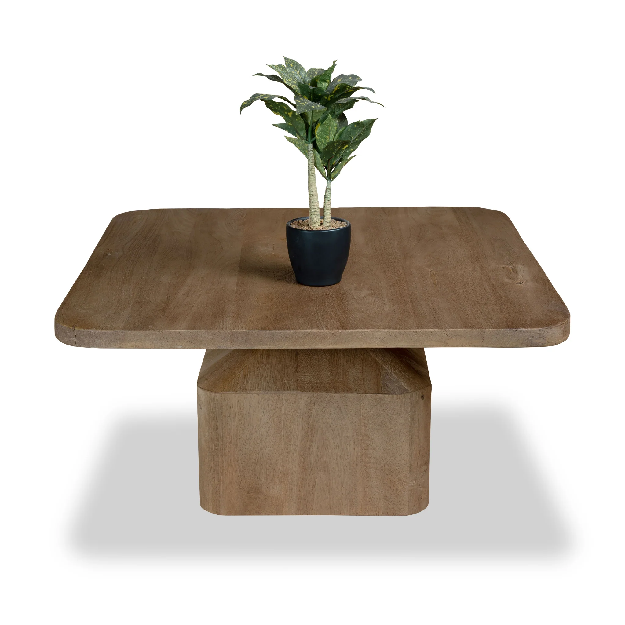 Nao Mango Wood Coffee Table - Image 4