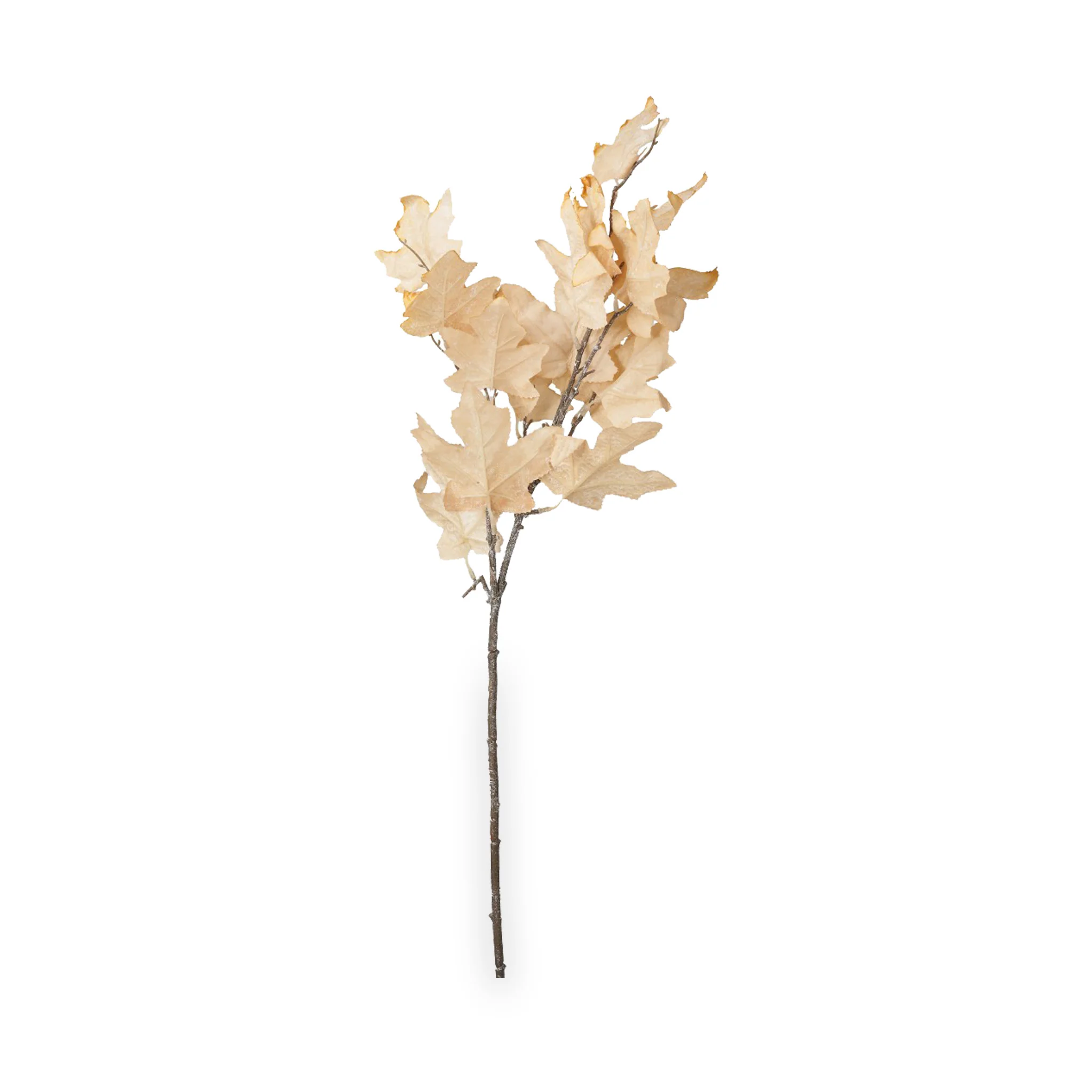 Natural Apricot Dried Flower Bunch - Image 6