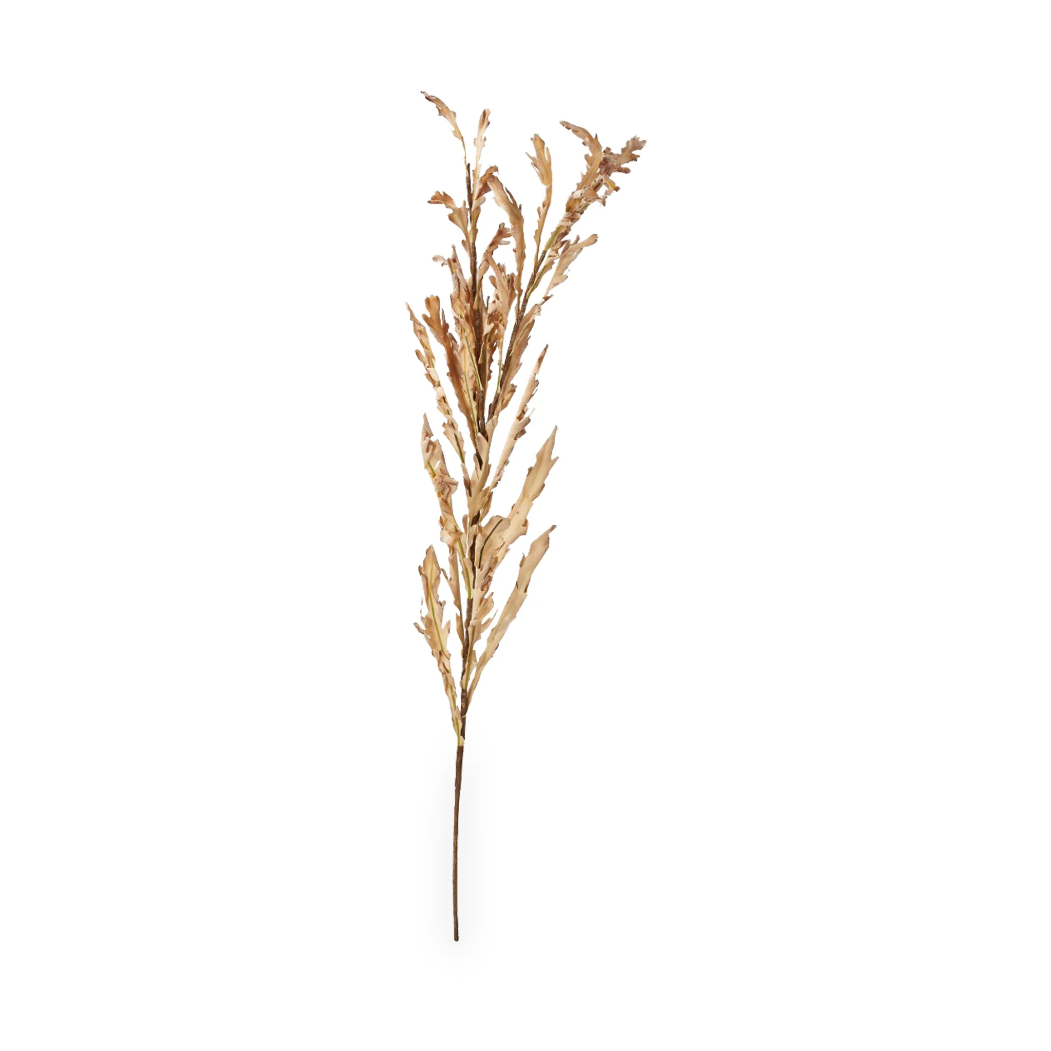 Natural Apricot Dried Flower Bunch - Image 9