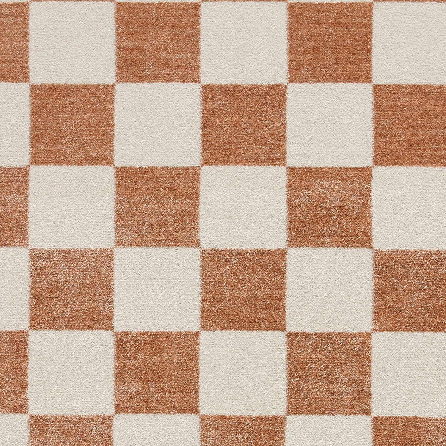 Norwood Checkerboard Rug - Image 63