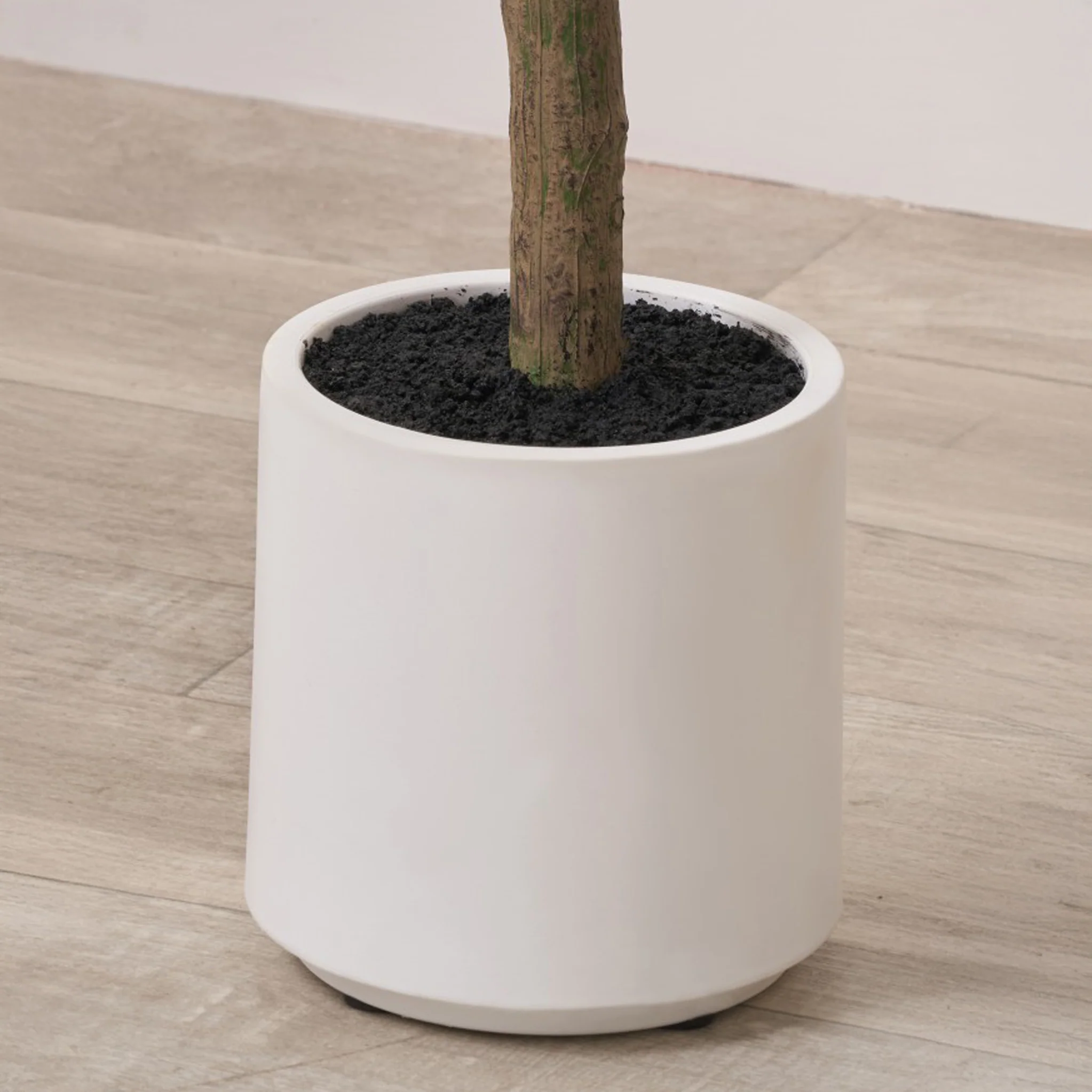Olive Tree In Pot - Image 3