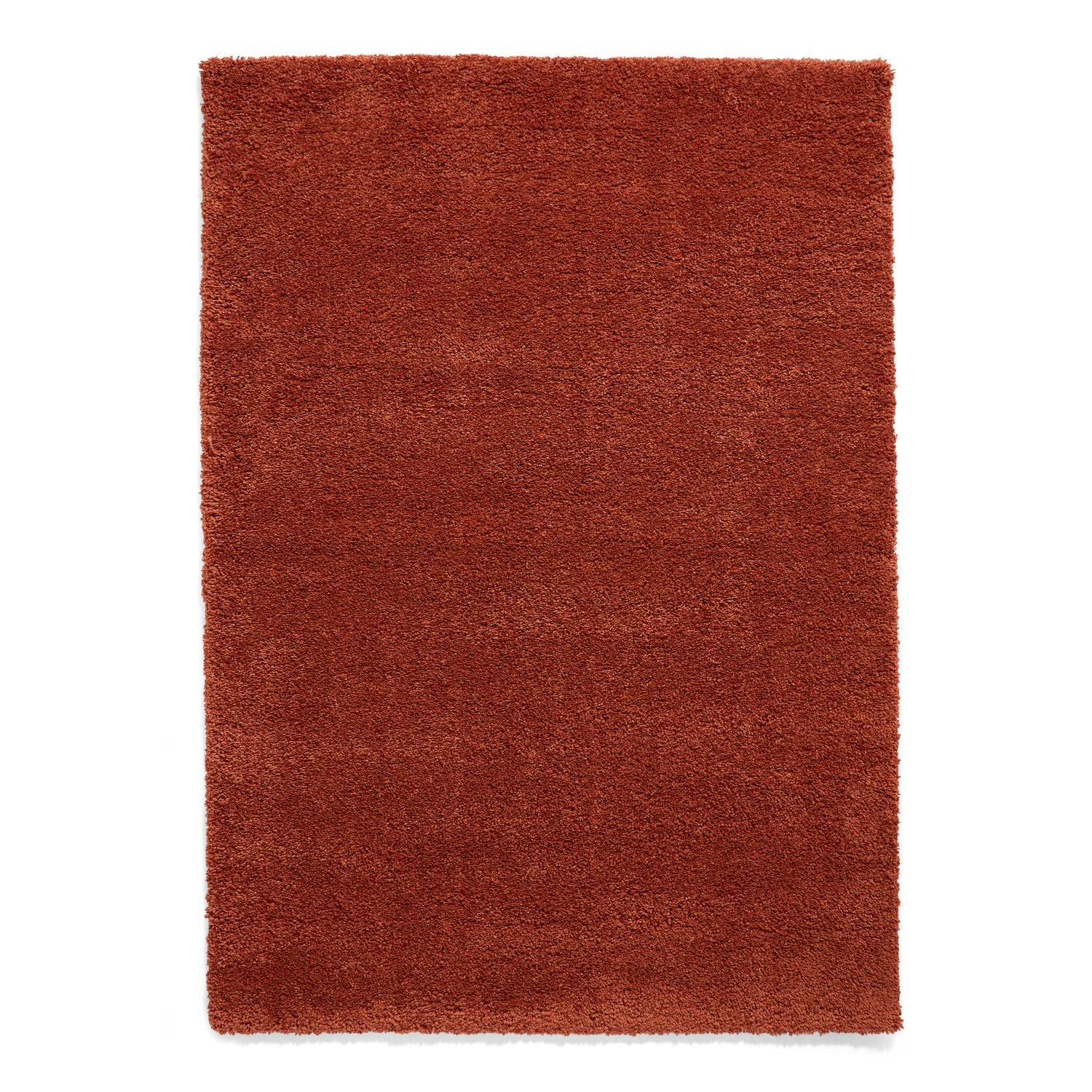 Roswell Stain Resistant Shaggy Rug - Image 115