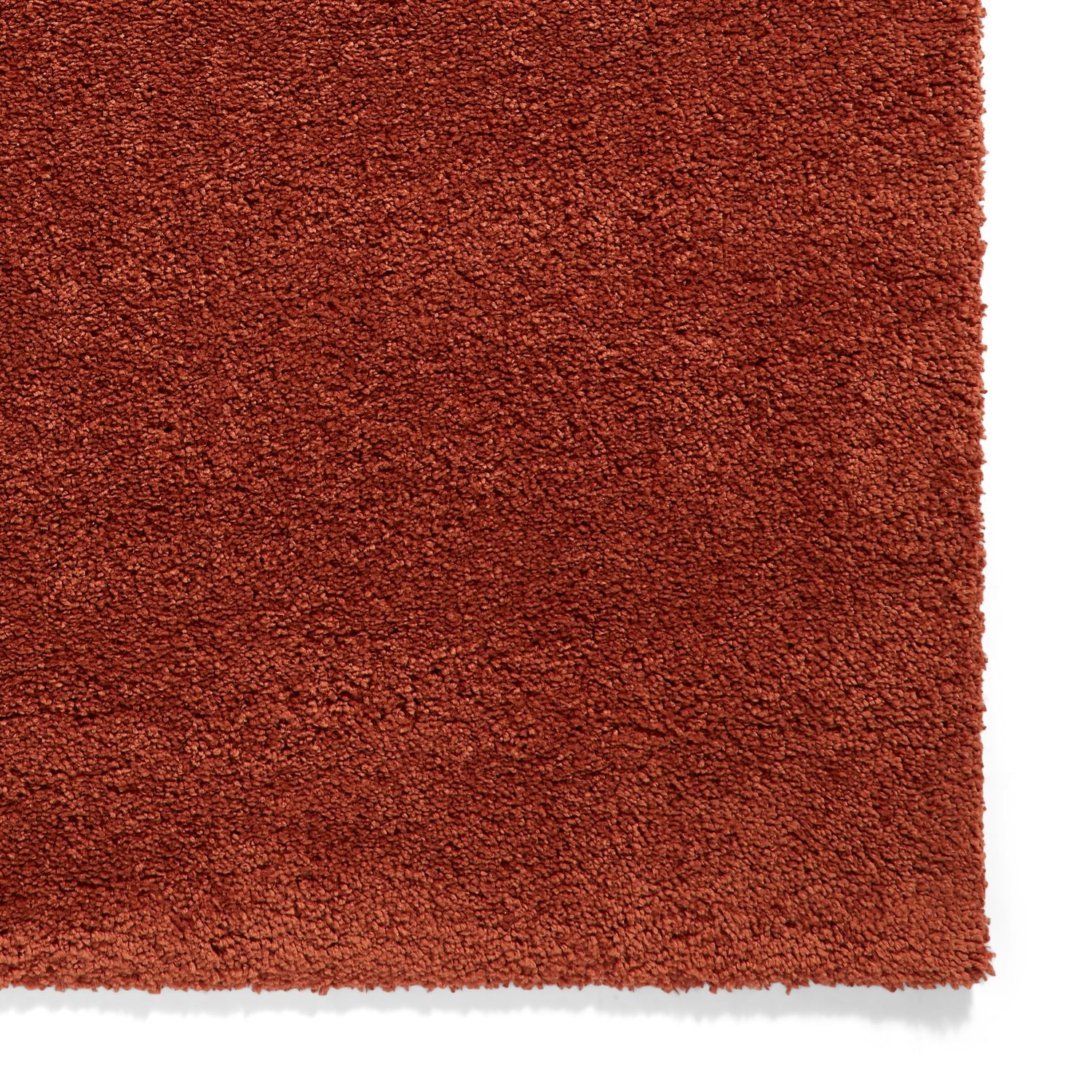 Roswell Stain Resistant Shaggy Rug - Image 119