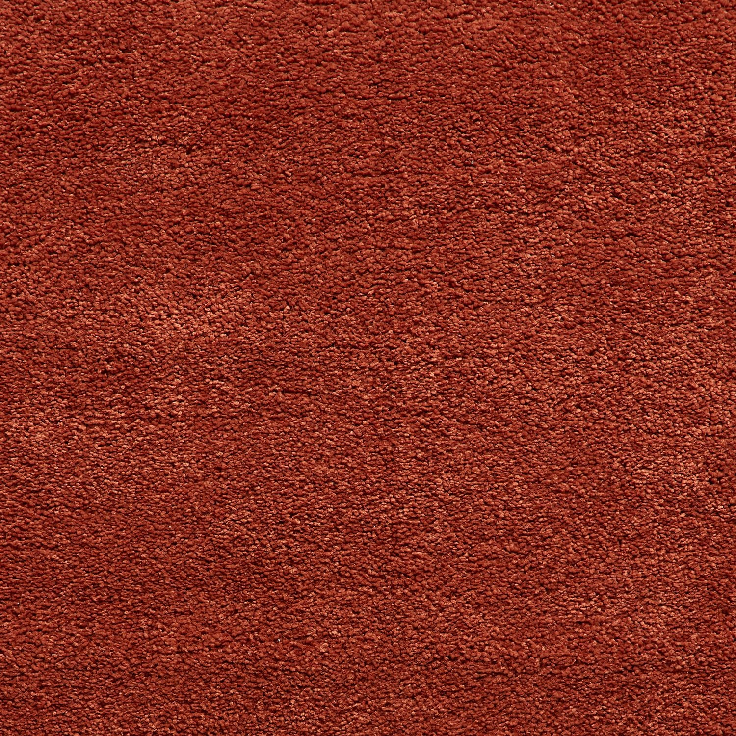 Roswell Stain Resistant Shaggy Rug - Image 120