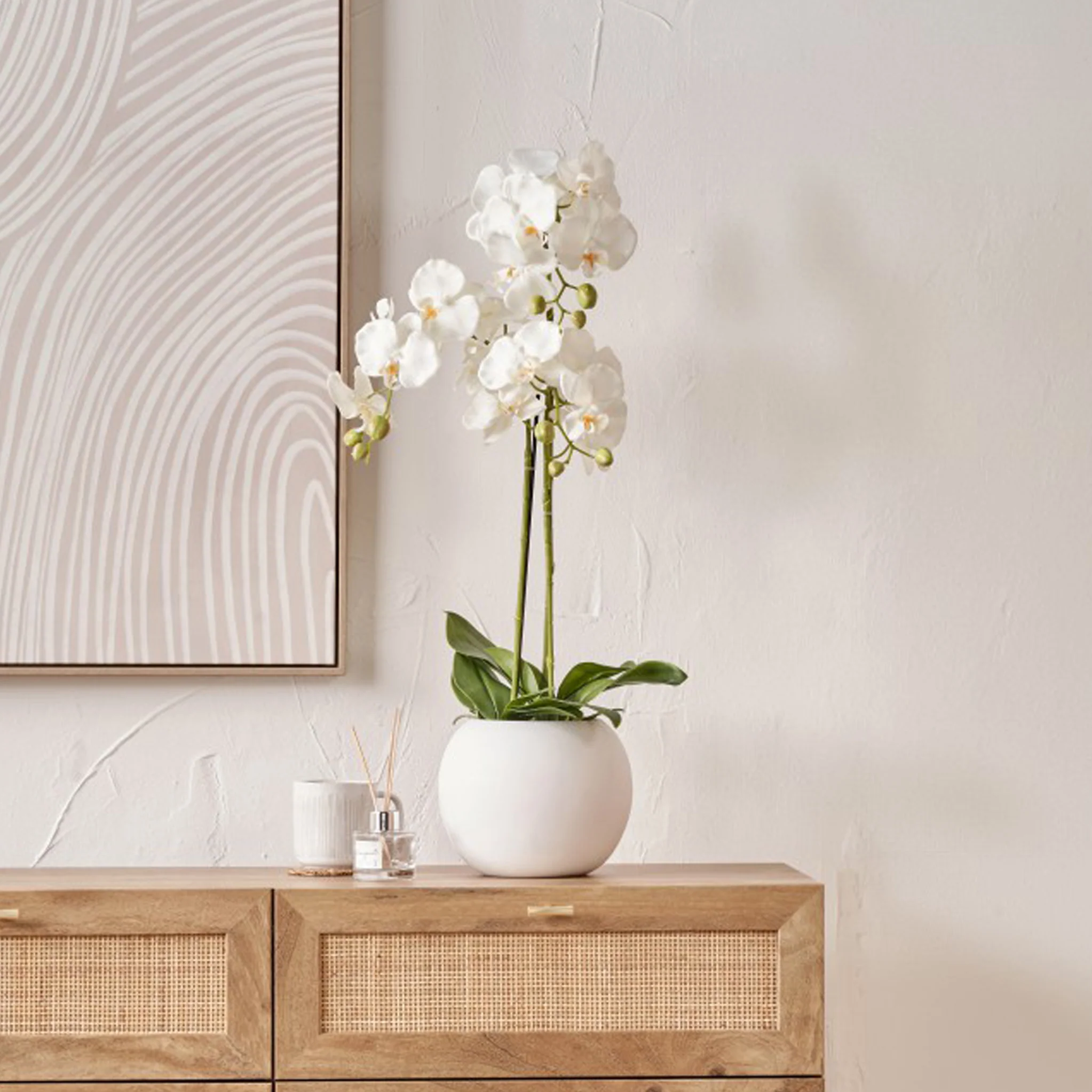 White Orchid in Pot - Image 12