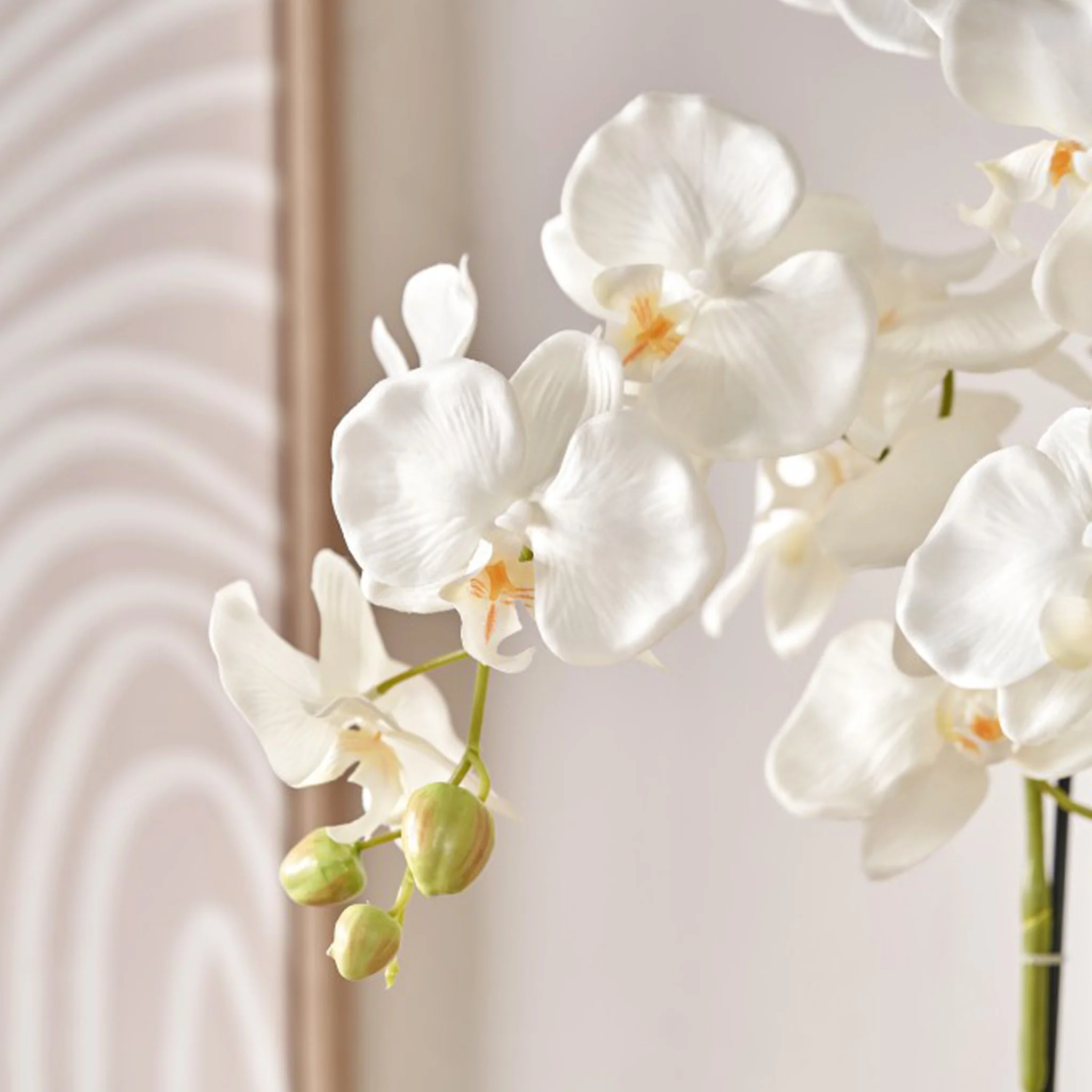 White Orchid in Pot - Image 4