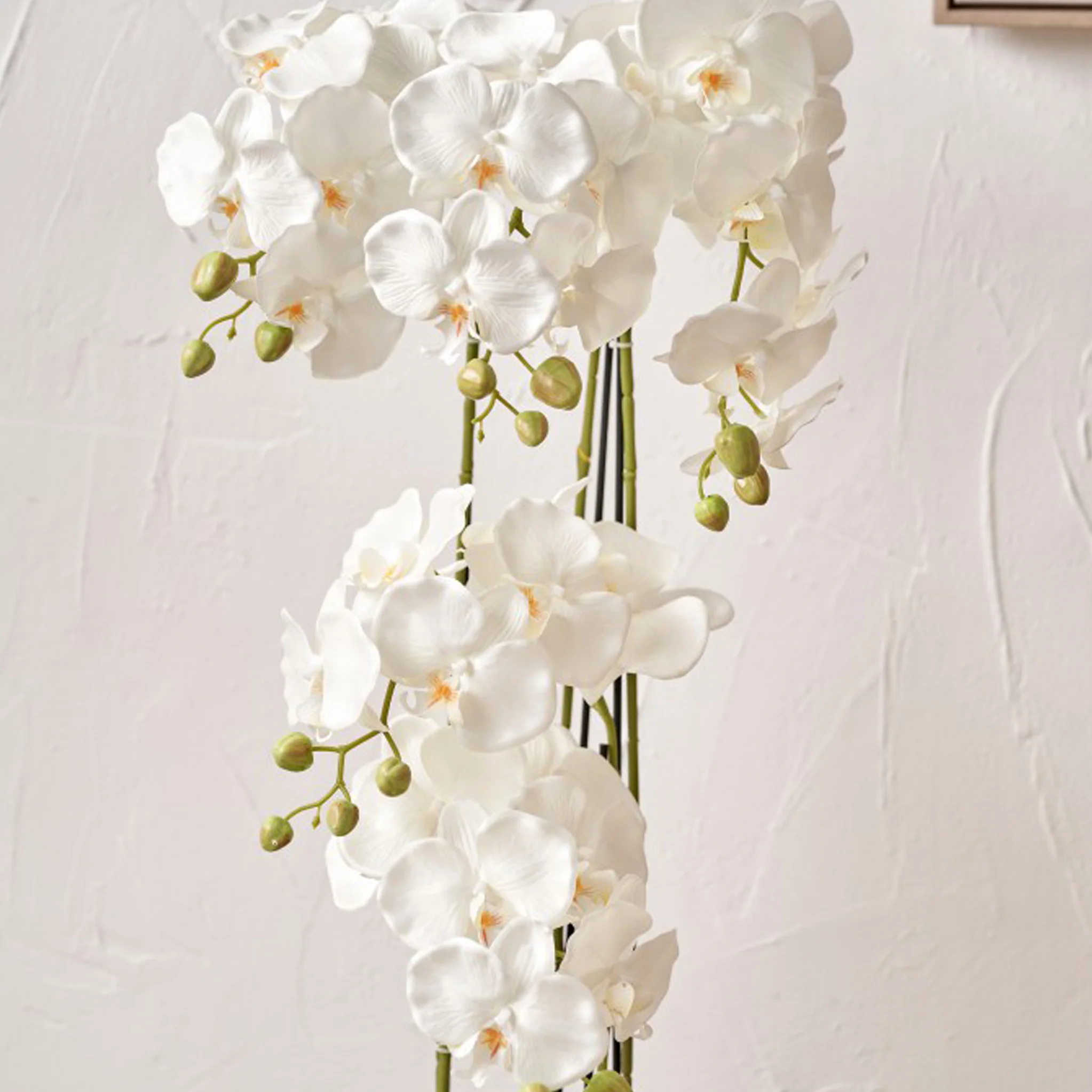 White Orchid in Pot - Image 5