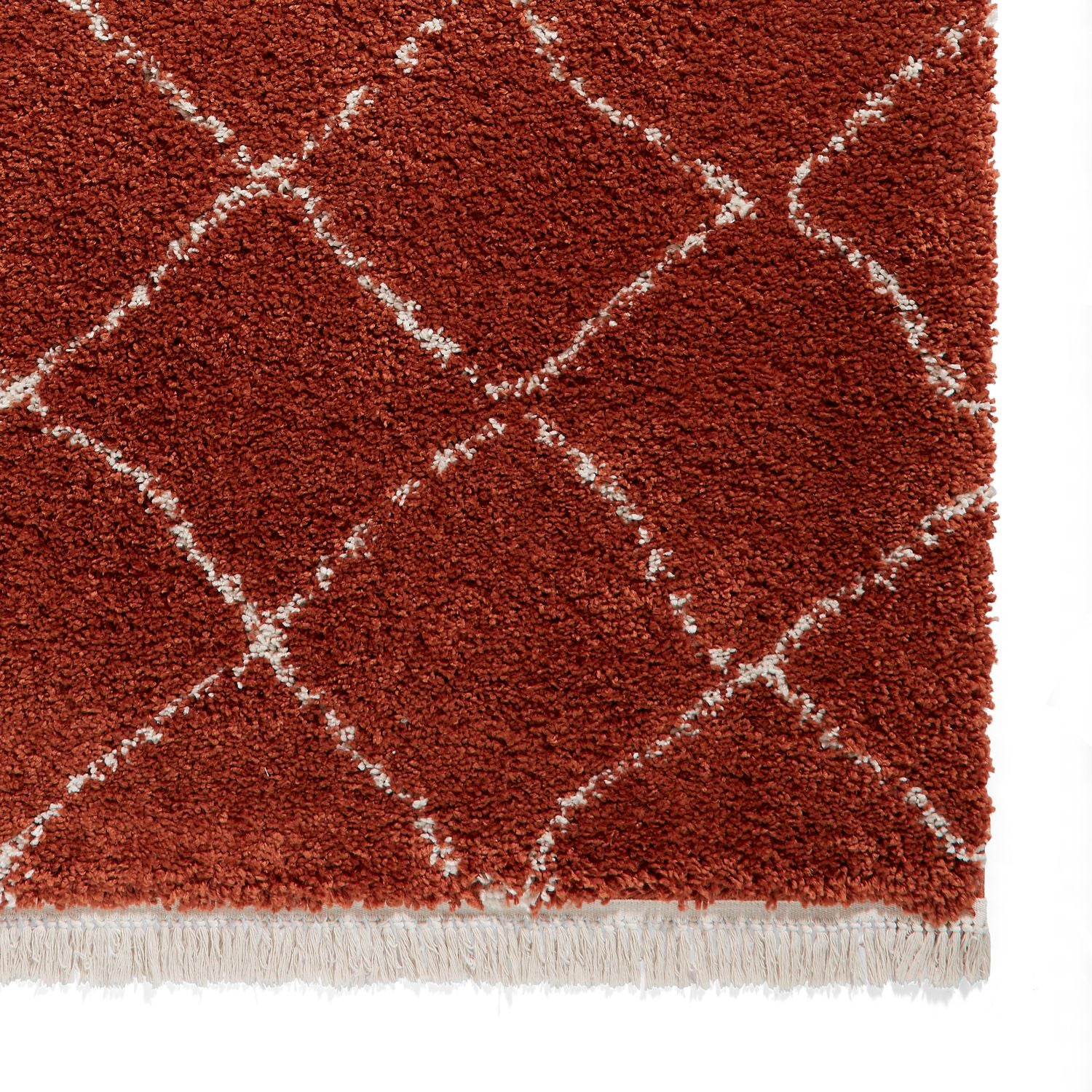 Willow Shaggy Tasselled Diamond Rug - Image 75